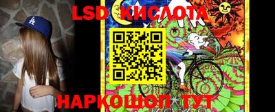 эйфоретик Кингисепп