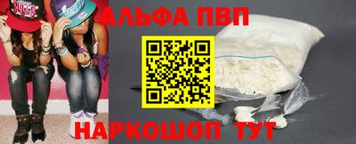 эйфоретик Кингисепп